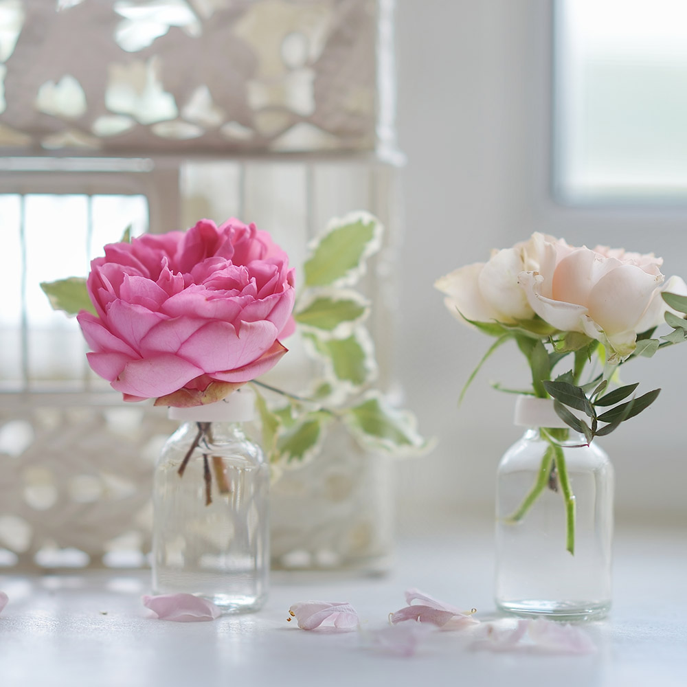 Floral & Romantic